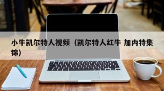 小牛凯尔特人视频（凯尔特人红牛 加内特集锦）