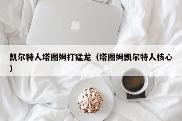 凯尔特人塔图姆打猛龙(塔图姆凯尔特人核心)